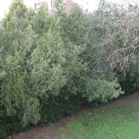 Apartamento T3-4 Meublé Soupetard *