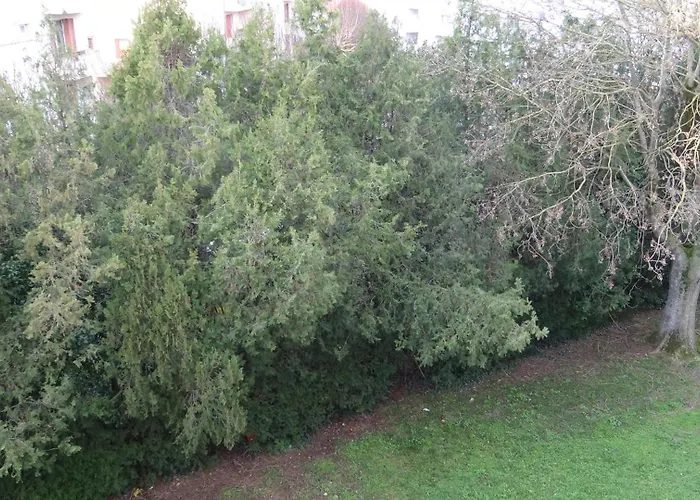 Διαμέρισμα T3-4 Meuble Soupetard *