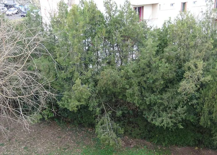 T3-4 Meuble Soupetard