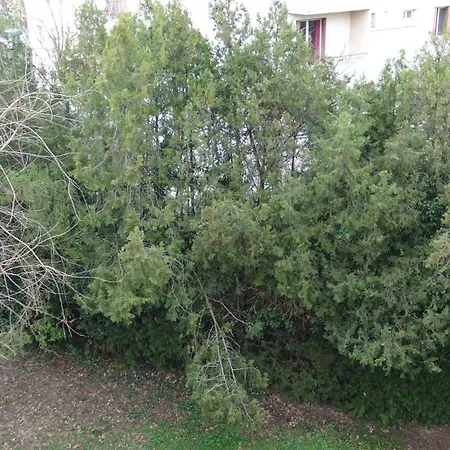 T3-4 Meublé Soupetard